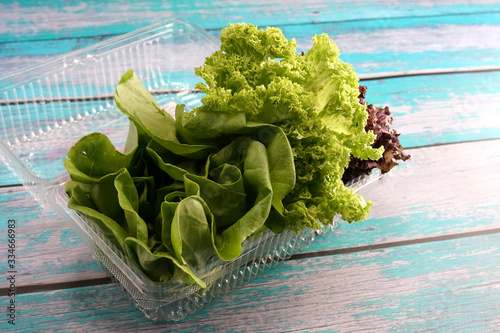 Green and red leaf lettuce on plastic container. Fresh ingredient for making healthy salad and sandwiches photo