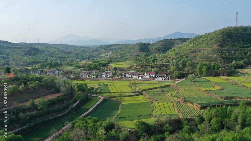 Early morning beautiful countryside with green farmland landscape