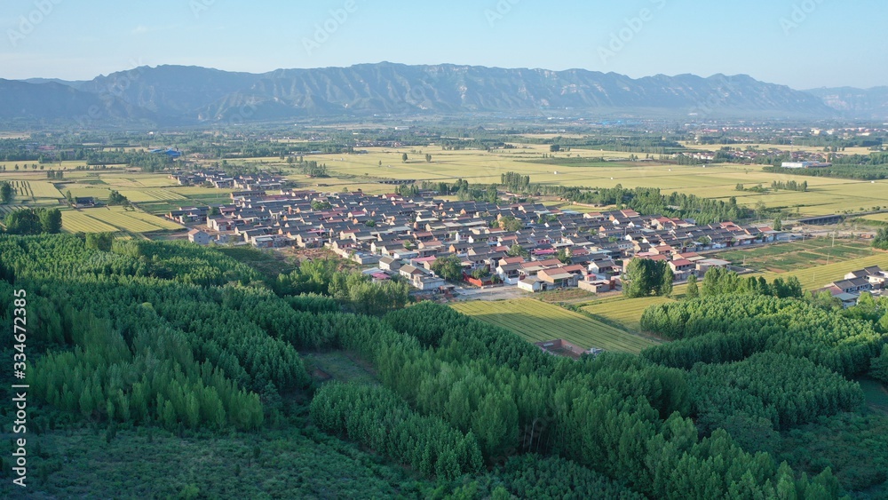 Aerial view of beautiful countryside, green woods and village in the morning sun