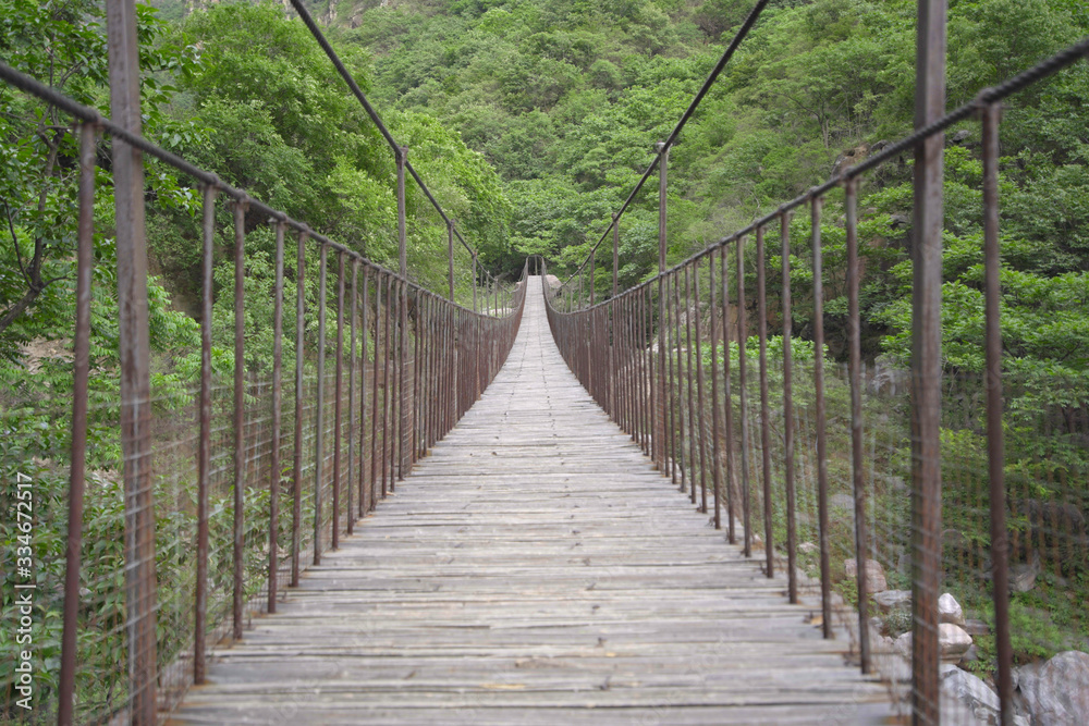 Rope bridge in the green forest in mountain Rope bridge in the green forest in mountain