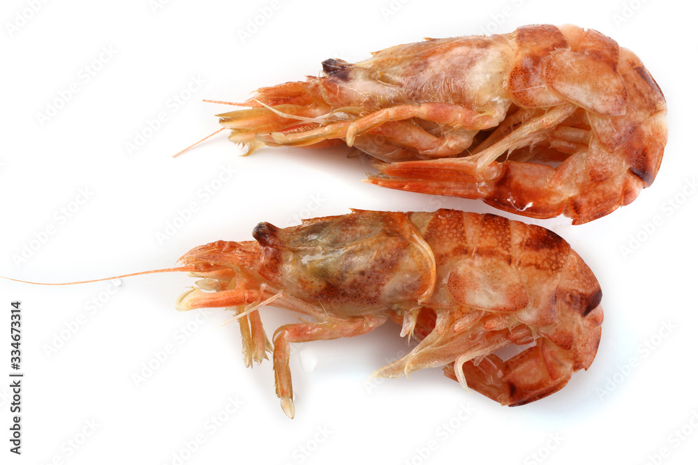 Argis lar (kuro shrimp, Northern Argid). Pacific shrimp Argis lar (kuro shrimp, Northern Argid). Pacific shrimp