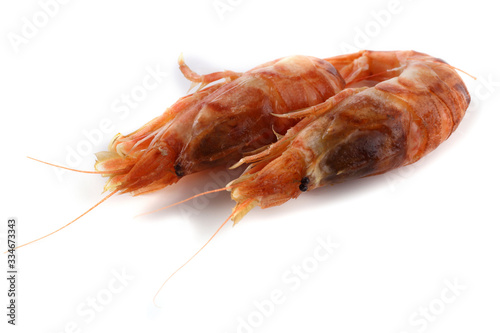 Argis lar (kuro shrimp, Northern Argid). Pacific shrimp © Alex Coan