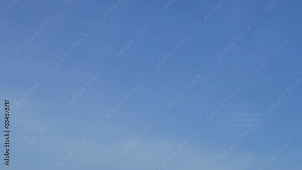 Bright blue cloudless sky with wispy minimal white clouds in tropical summer or spring morning sunlight background at sunny & sunshine day. Nature & environment TimeLapse of weather forecast concept Bright blue cloudless sky with wispy minimal white clouds in tropical summer or spring morning sunlight background at sunny & sunshine day. Nature & environment TimeLapse of weather forecast concept