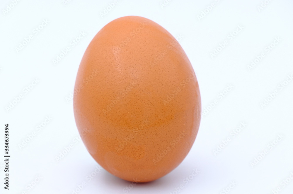 chicken egg isolated on white background chicken egg isolated on white background