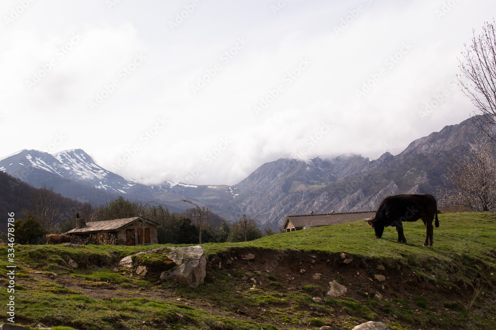 paisaje montañoso con una vaca y cabañas al fondo