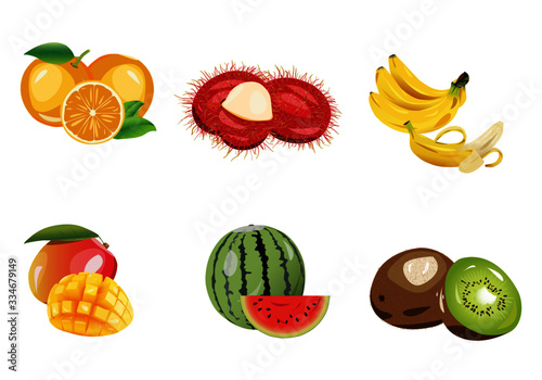 Vector collection Mixed fruit Consisting of Oranges,Mango,Banana,Watermelon Kiwi,Rambutan,Colorful White Background Vector illustration