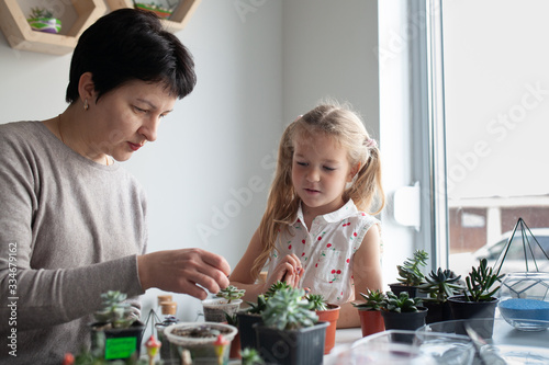 Woman teaches planting succulents in a glass florarium at a lesson in a creativity studio,