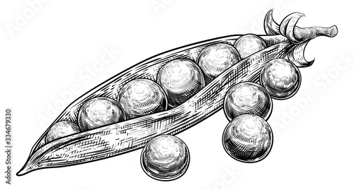 Original illustration of ga...