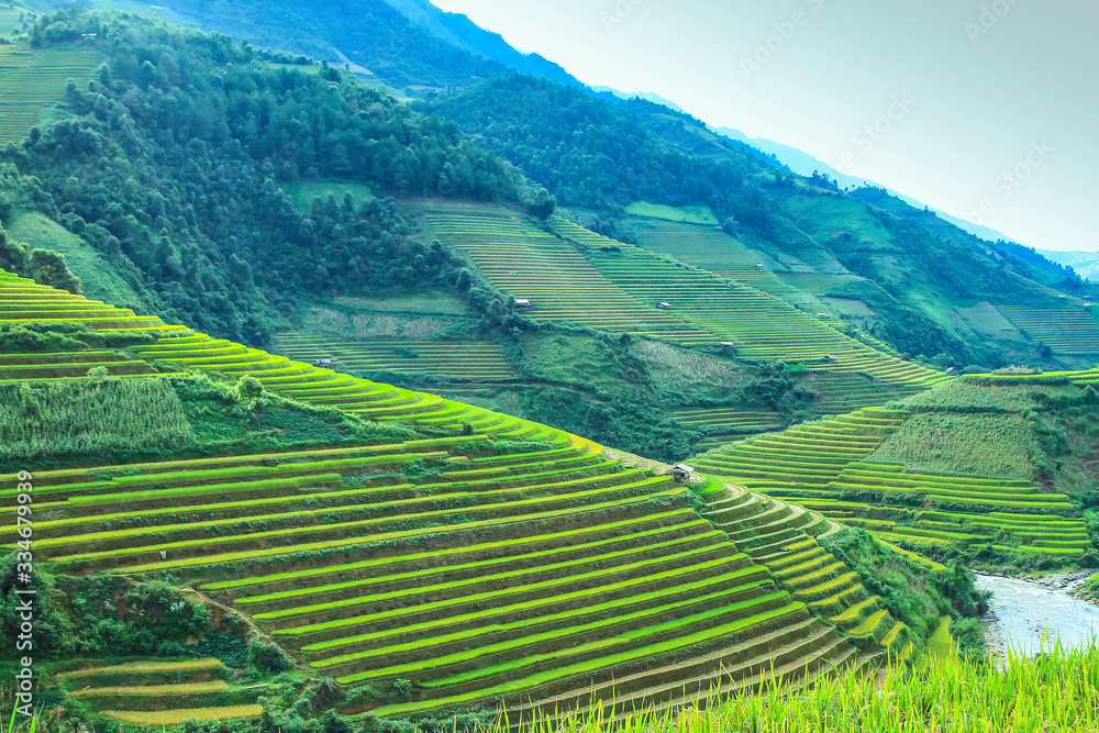 Rice fields on terraced in rainny season at Mu Cang Chai, Yen Bai, Vietnam. Rice fields prepare for transplant at Northwest Vietnam