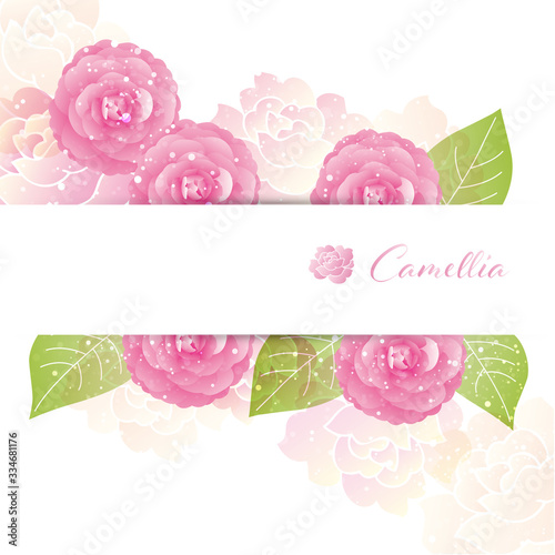 background illustration of Camellia decorations