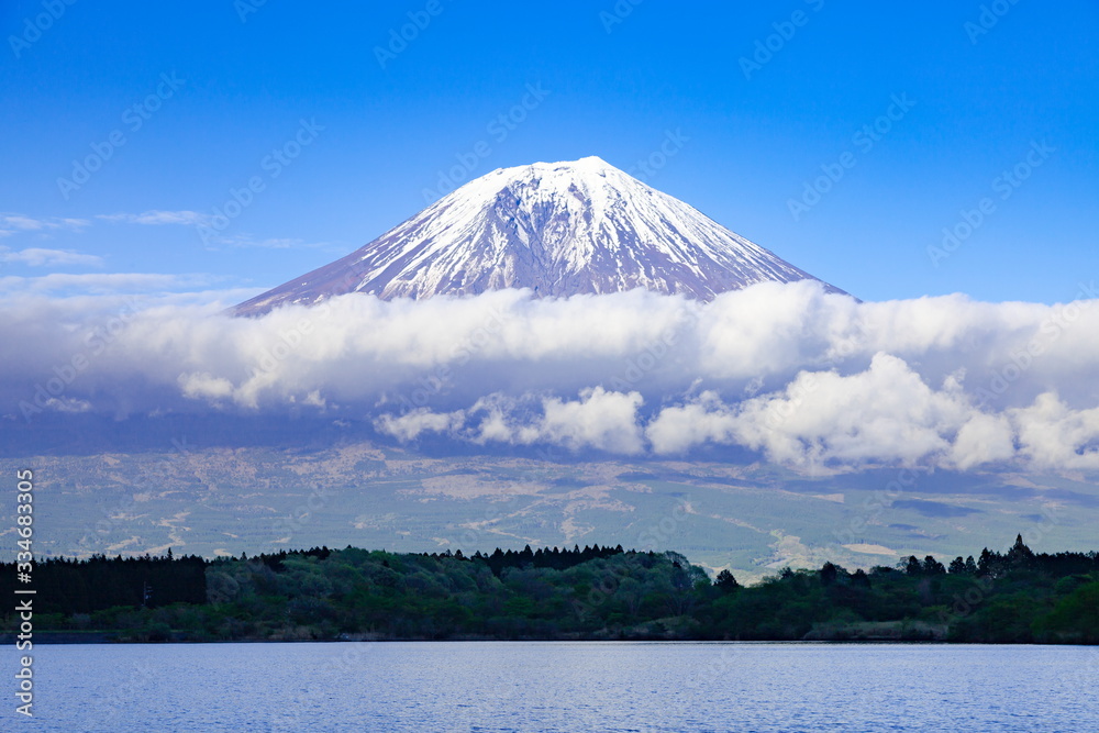 田貫湖から眺める富士山、静岡県富士宮市にて