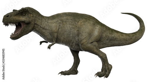 3d rendered t-rex tyrannosaurus rex