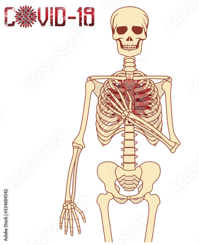 Coronavirus, human skeleton with virus covid-19, isolated, vector illustration