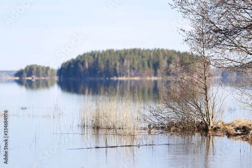 reflection of trees in the water