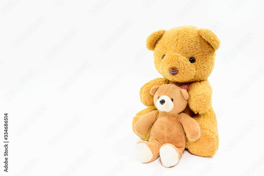 Two teddy bears on a white background Two teddy bears on a white background