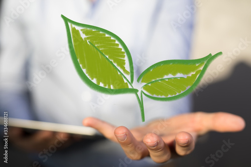 green plant growing up digital