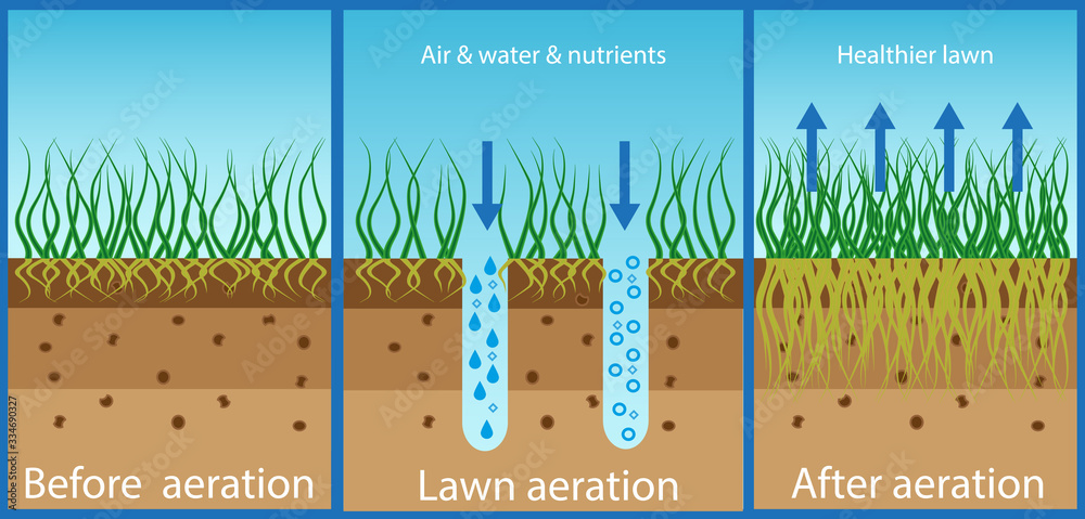 Φωτογραφία Aeration of the lawn