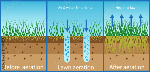 Aeration of the lawn. Enrichment with oxygen water and nutrients to improve lawn growth. Before and after aeration: gardening, lawn care services. Advantages, aeration photo
