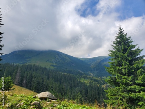 A beautiful scenery of Carpathian mountains with small houses, trees, fields, and roads in the summertime. © Anite