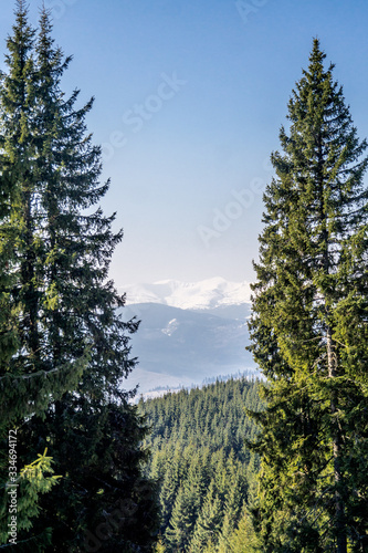 Carpathians views