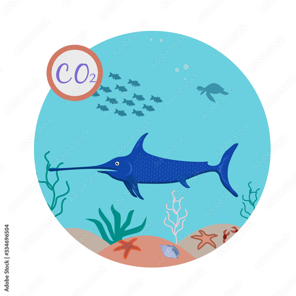 Obraz premium The extinction of rare species of fish and marine animals, the problem of urbanization. Biological impact. Water pollution, ocean pollution.Marine litter, indelible litter. Biological hazard.
