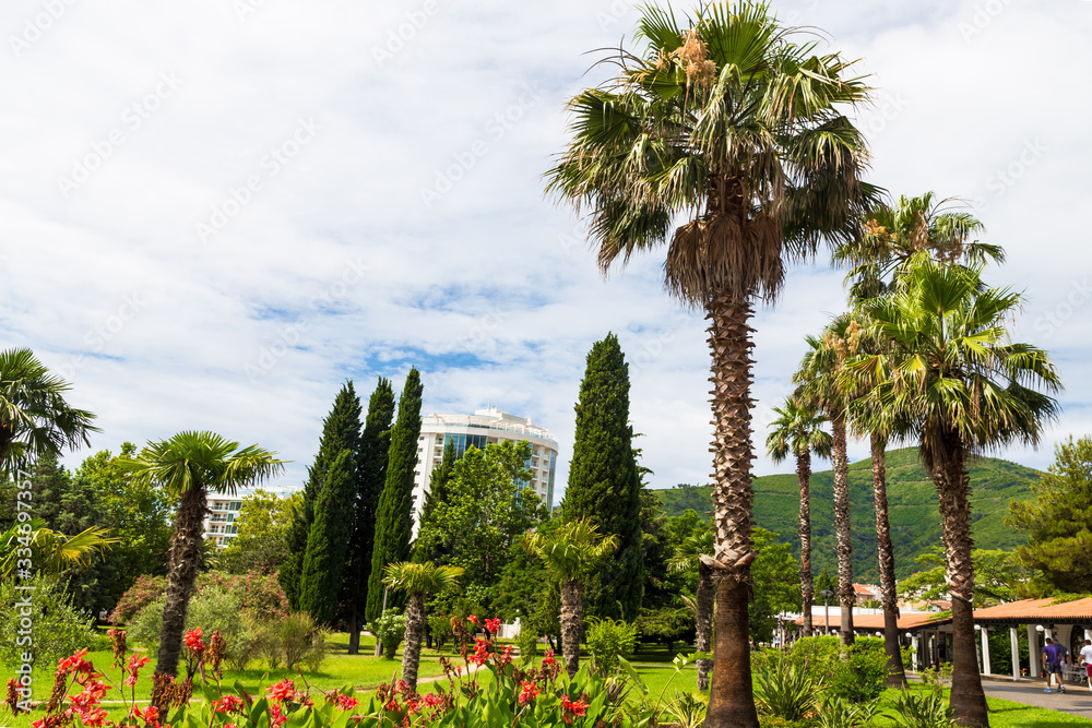 Fototapeta premium Beautiful landscapes of Montenegro. Tropical trees combined with old and modern architecture. Travel by Budva and Kotorsk.