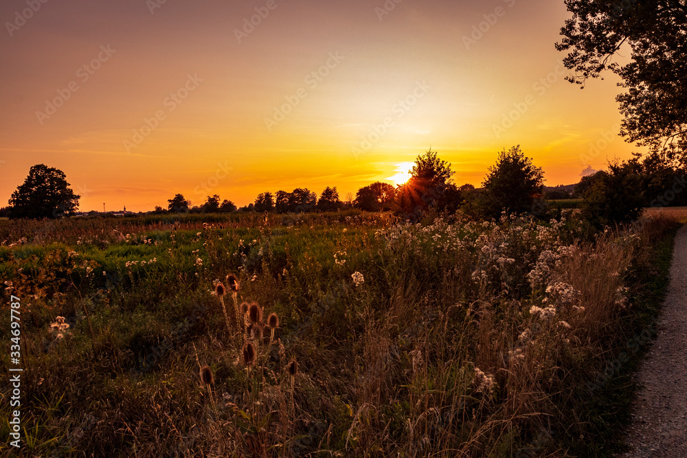 Sonnenuntergang auf einer Sommerwiese Sonnenuntergang auf einer Sommerwiese