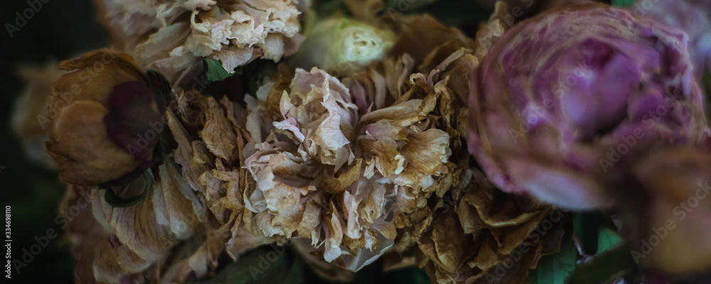 withered flowers in a bouquet, close up withered flowers in a bouquet, close up
