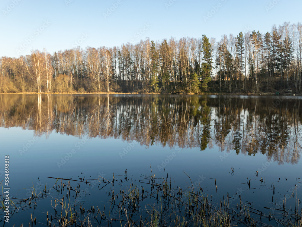 tree reflections in water, early spring landscape