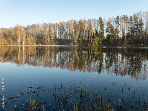 tree reflections in water, early spring landscape