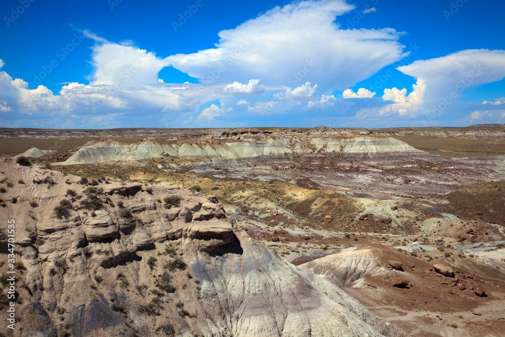 Arizona / USA - August 01, 2015: Landscape at Petrified Forest National Park, Arizona, USA Arizona / USA - August 01, 2015: Landscape at Petrified Forest National Park, Arizona, USA