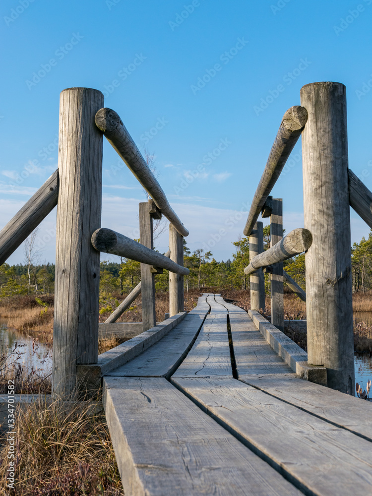 Walking trail in Kemeri moorland, early spring day, Kemeri national park, Walking trail in Kemeri moorland, early spring day, Kemeri national park,