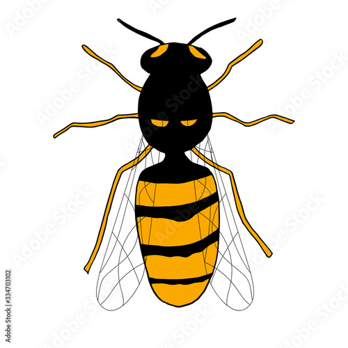 Cartoon hand-drawn vector insect wasp