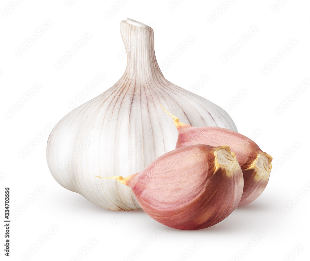 Isolated garlic. Raw whole garlic with two segments isolated on white background with clipping path