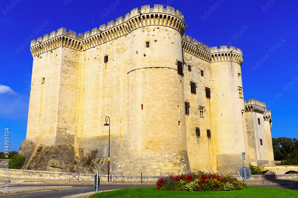 View of medieval castle of Tarascon