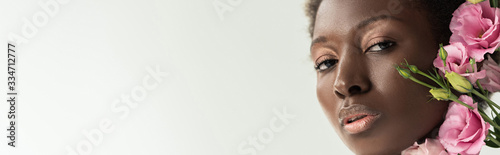 face of african american woman with pink eustoma flowers isolated on grey, panoramic shot