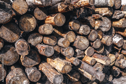 Round timber - a stack of round pine logs