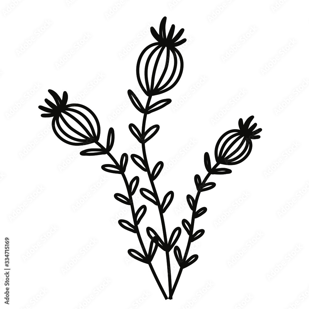 Wild flower on a white background. Simple vector illustration. Wild flower on a white background. Simple vector illustration.