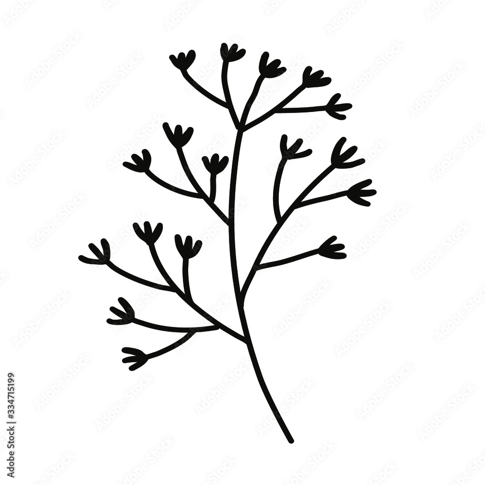Wild flower on a white background. Simple vector illustration.
