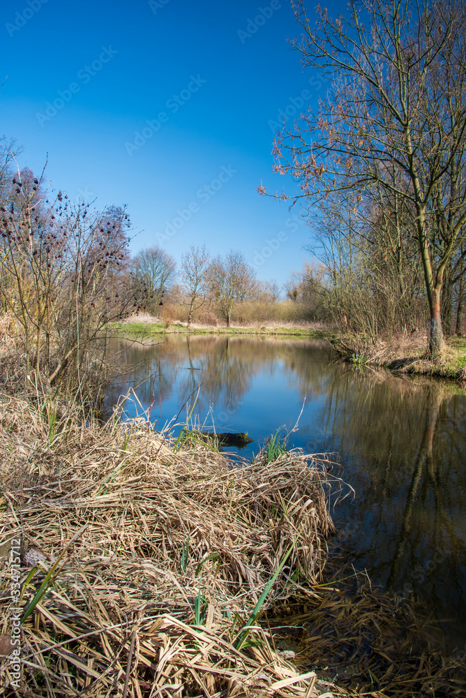 Fototapeta premium Slanaky lake with trees around and clear sky in CHKO Poodri in Czech republic