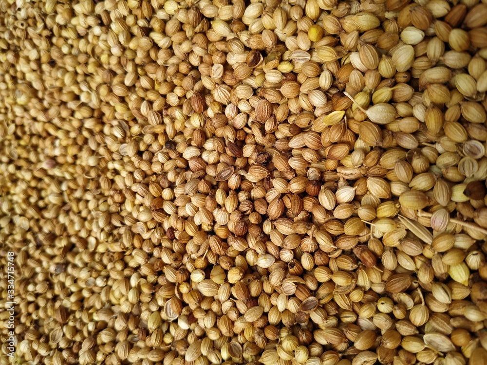 Dried coriander seeds arranged as background. Dhaniya Nepal Dried coriander seeds arranged as background. Dhaniya Nepal