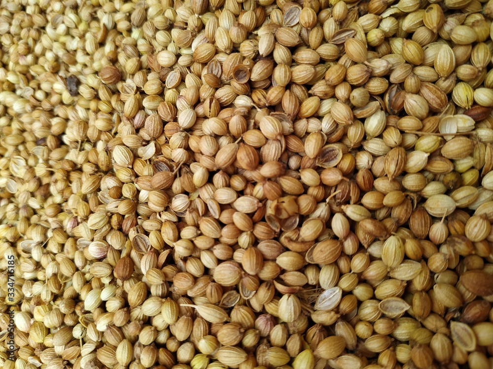 Dried coriander seeds arranged as background. Dhaniya Nepal Dried coriander seeds arranged as background. Dhaniya Nepal