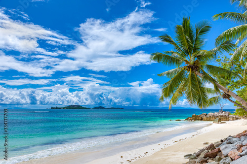 Palm tree bent over tropical sandy beach