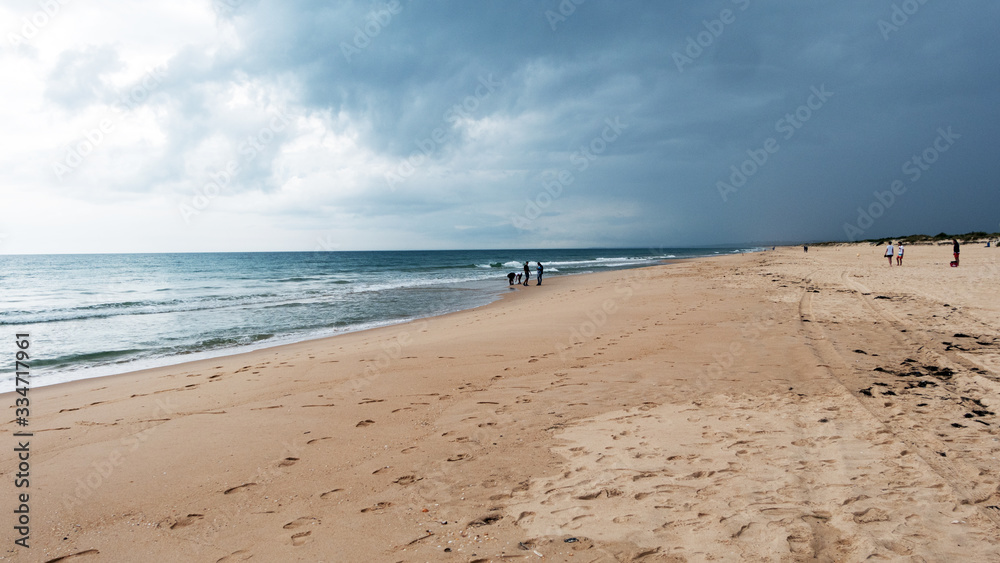 beach and sea