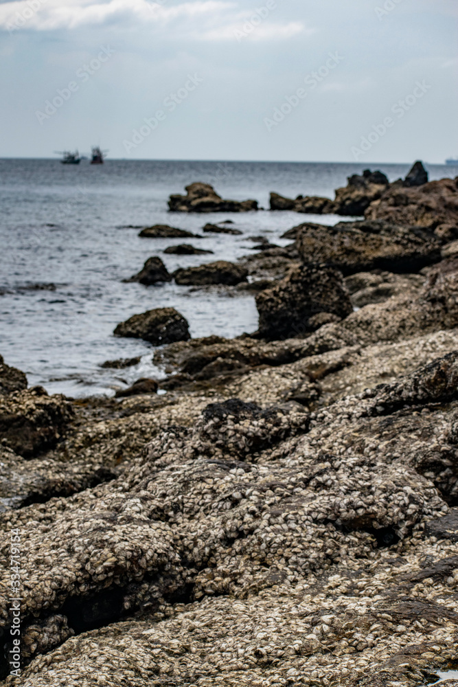 rocks on the beach rocks on the beach