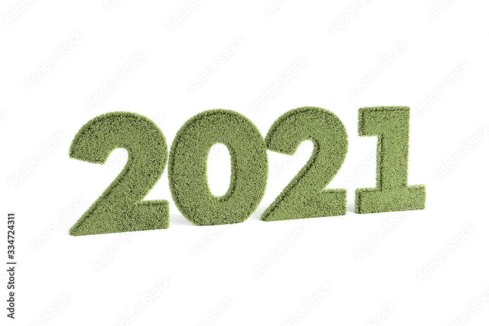 3D Rendering of 2021 Year Text on Nature Grass 3D Rendering of 2021 Year Text on Nature Grass