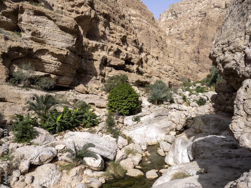 Wadi Shab, beautiful scenery, high rocks, stream with clear water. Oman Wadi Shab, beautiful scenery, high rocks, stream with clear water. Oman