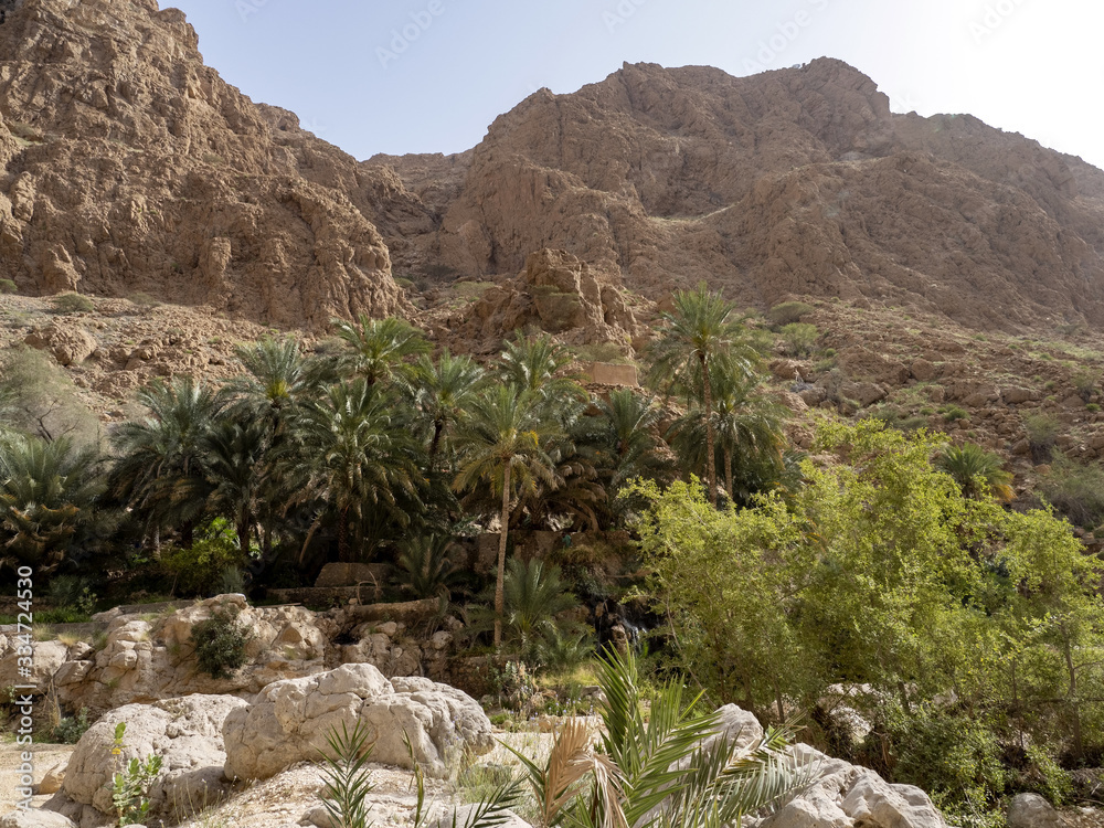 Wadi Shab, beautiful scenery, high rocks, stream with clear water. Oman Wadi Shab, beautiful scenery, high rocks, stream with clear water. Oman