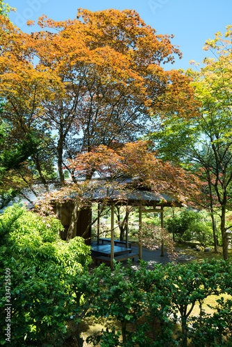 Japanese Garden at Washington Park Arboretum, Seattle, Washington State, United States