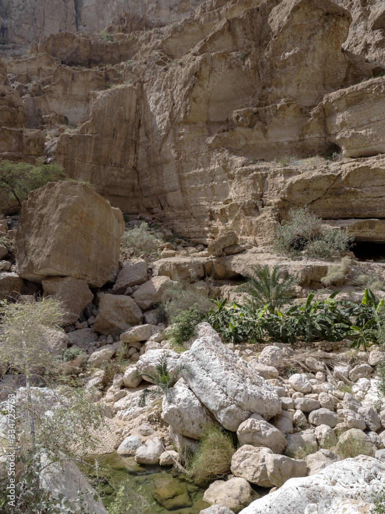 Wadi Shab, beautiful scenery, high rocks, stream with clear water. Oman Wadi Shab, beautiful scenery, high rocks, stream with clear water. Oman